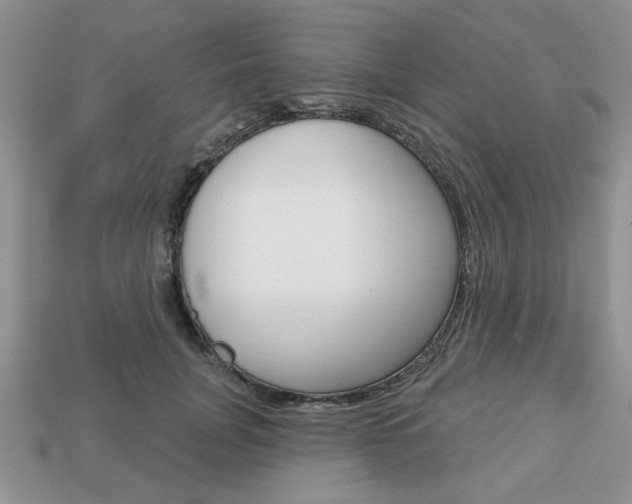 X0000113740751200909230945