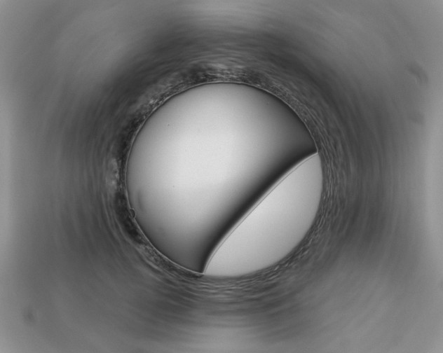X0000113740752200909230945