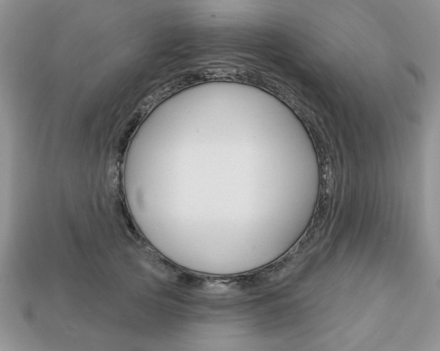 X0000113740753200909230945