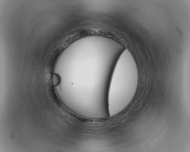 X0000113740754200909230945