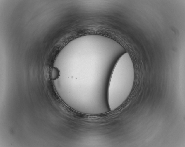 X0000113740758200909230945