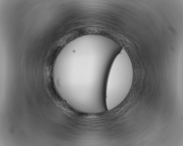 X0000113740759200909230945