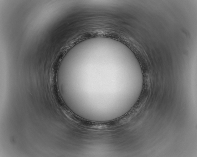 X0000113740760200909230945