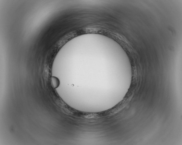 X0000113740761200909230945