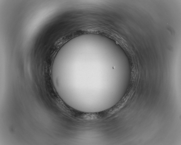 X0000113740762200909230945