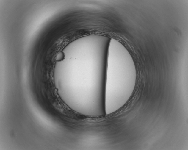 X0000113740763200909230945