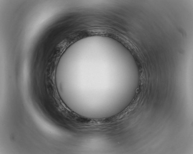 X0000113740764200909230945