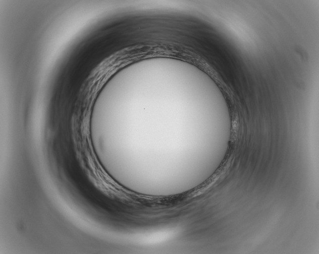 X0000113740765200909230945