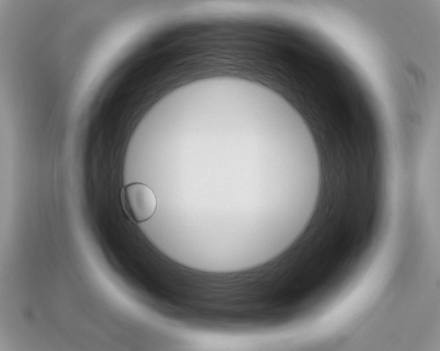 X0000113740766200909230945