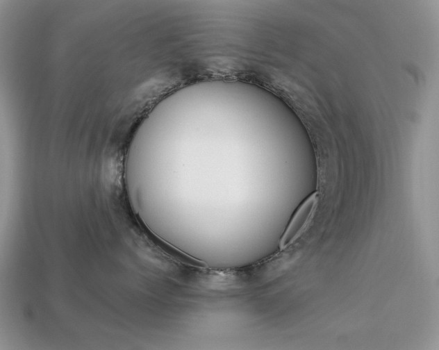 X0000113740768200909230945