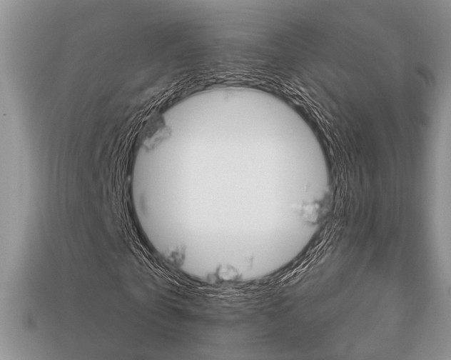X0000113740769200909230945