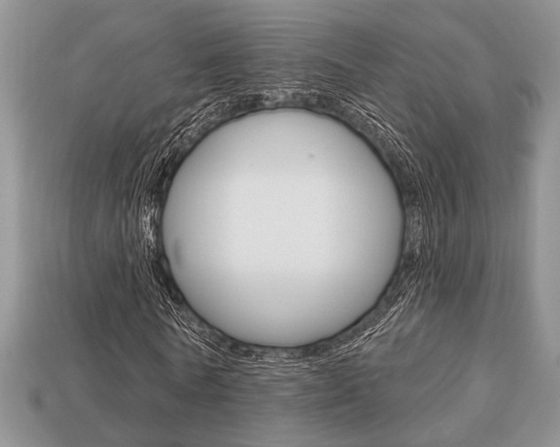 X0000113740770200909230945