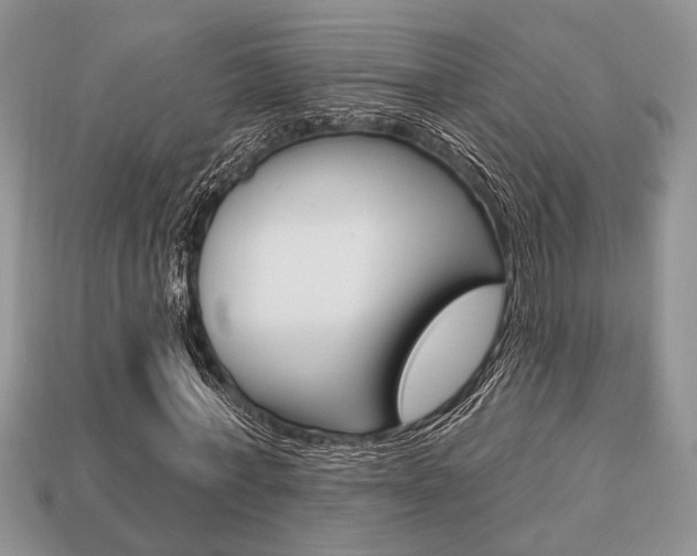 X0000113740771200909230945
