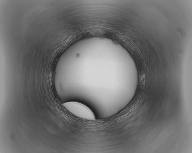 X0000113740772200909230945