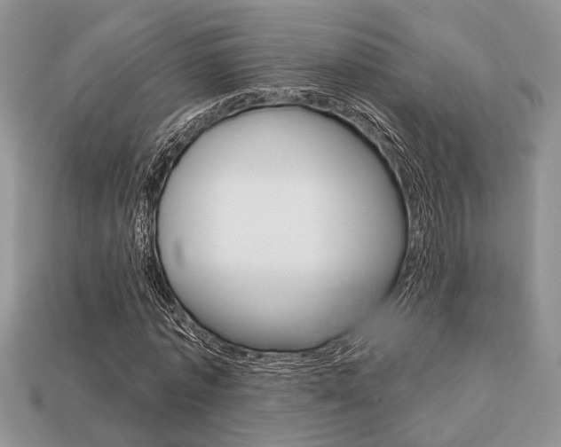X0000113740773200909230945