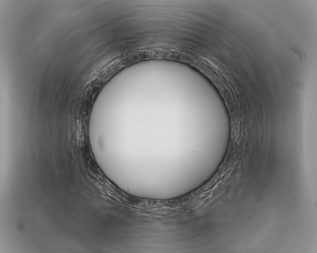 X0000113740774200909230945