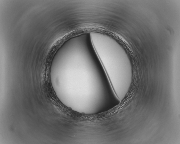 X0000113740775200909230945