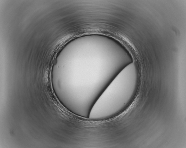 X0000113740777200909230945