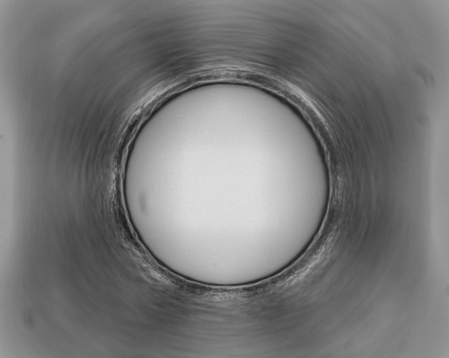 X0000113740778200909230945