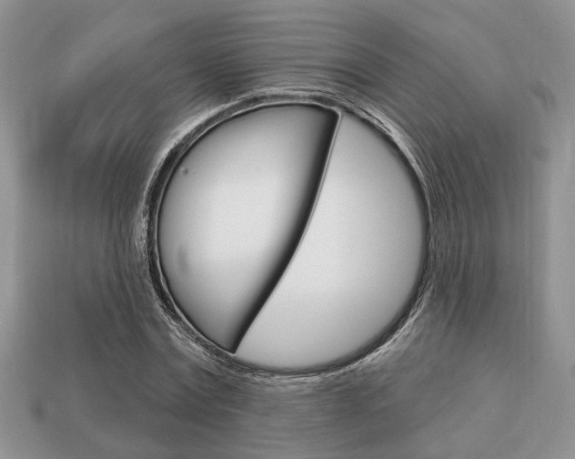 X0000113740779200909230945