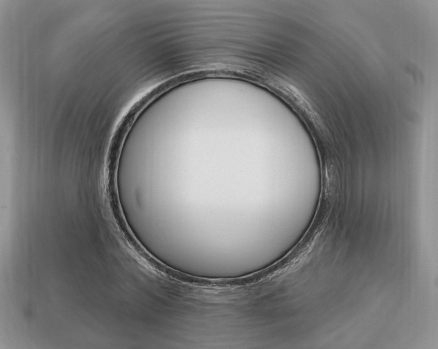 X0000113740780200909230945