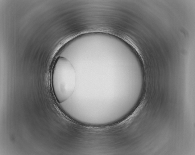 X0000113740781200909230945