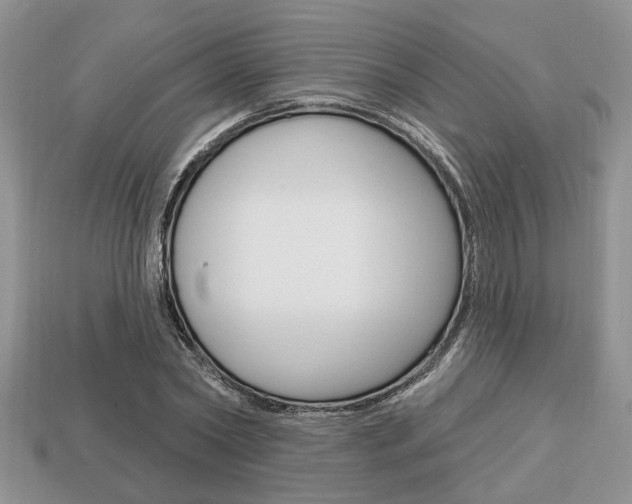X0000113740782200909230945