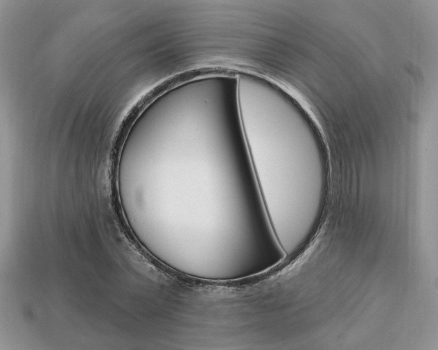 X0000113740783200909230945