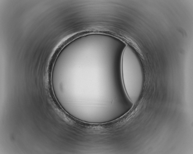 X0000113740784200909230945