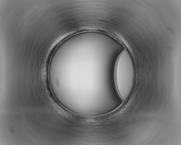 X0000113740787200909230945