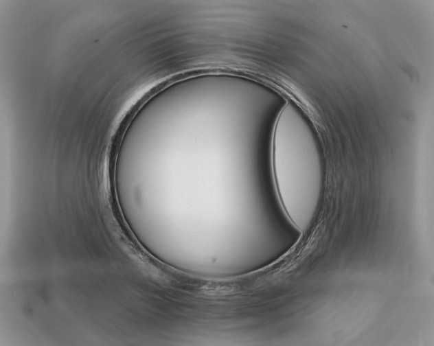 X0000113740788200909230945