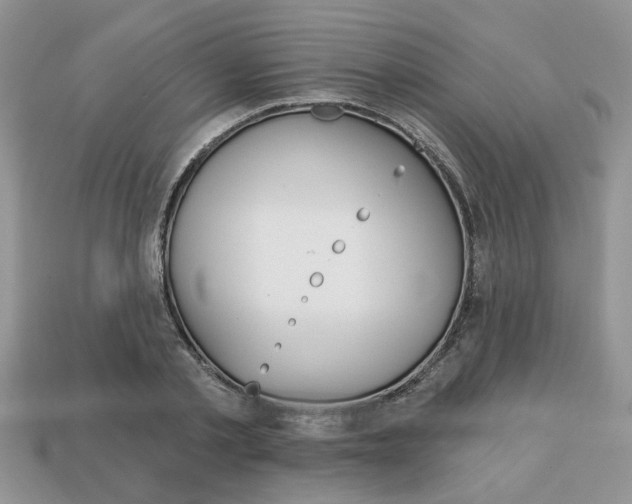 X0000113740789200909230945