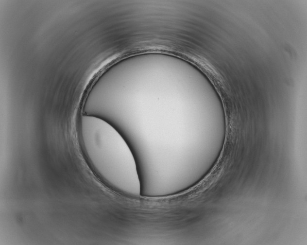 X0000113740790200909230945