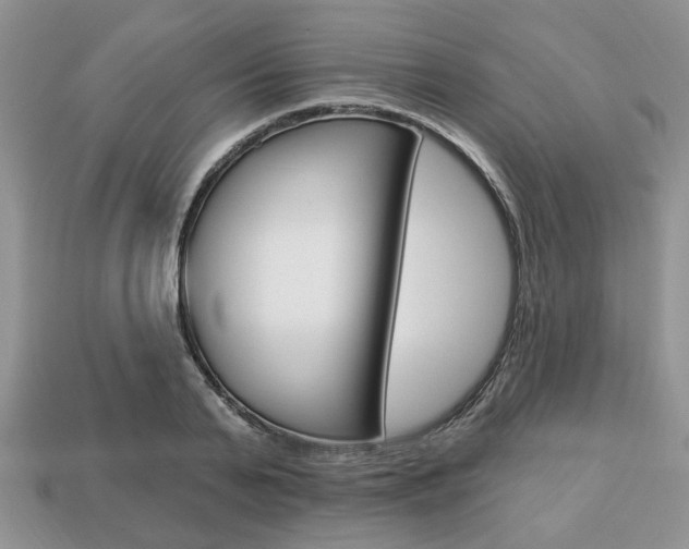 X0000113740791200909230945