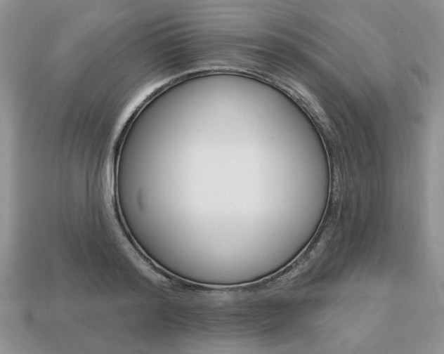 X0000113740796200909230945