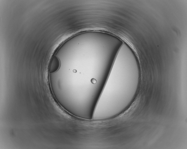 X0000113740797200909230944