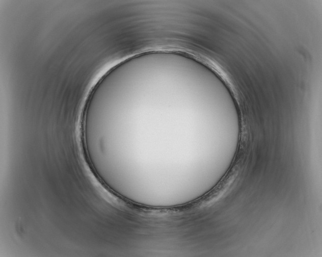 X0000113740803200909230944
