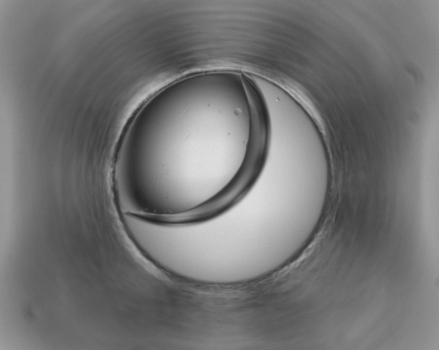 X0000113740805200909230944