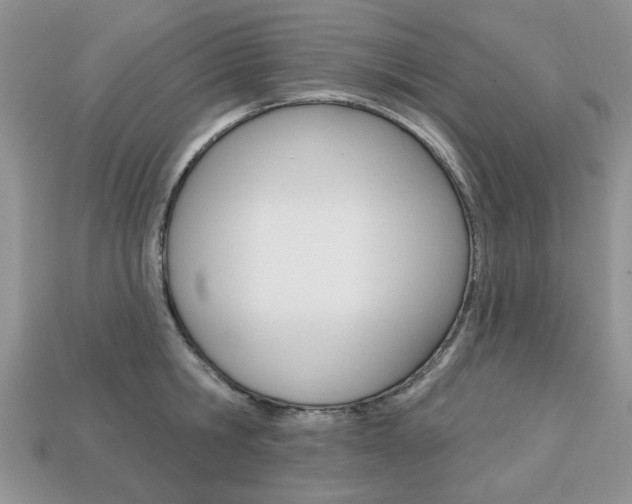 X0000113740806200909230944