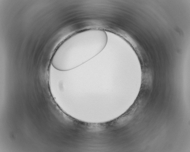 X0000113740807200909230944