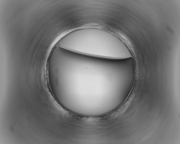 X0000113740808200909230944