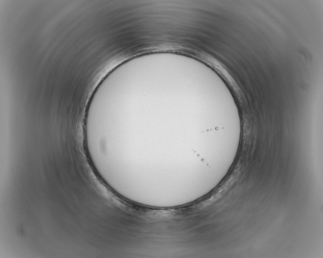 X0000113740810200909230944