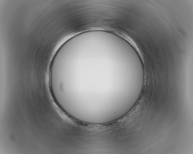 X0000113740811200909230944