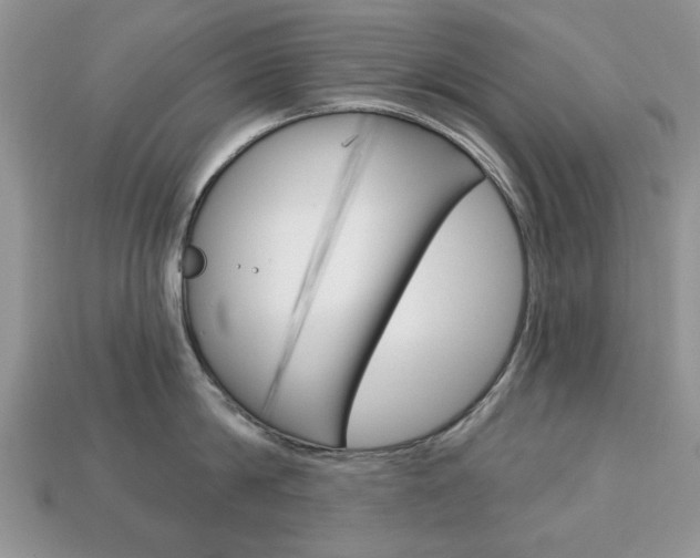 X0000113740814200909230944