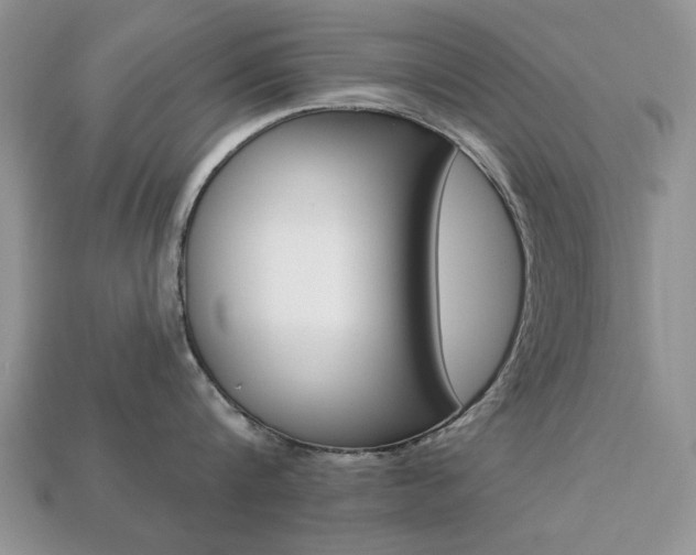 X0000113740816200909230944