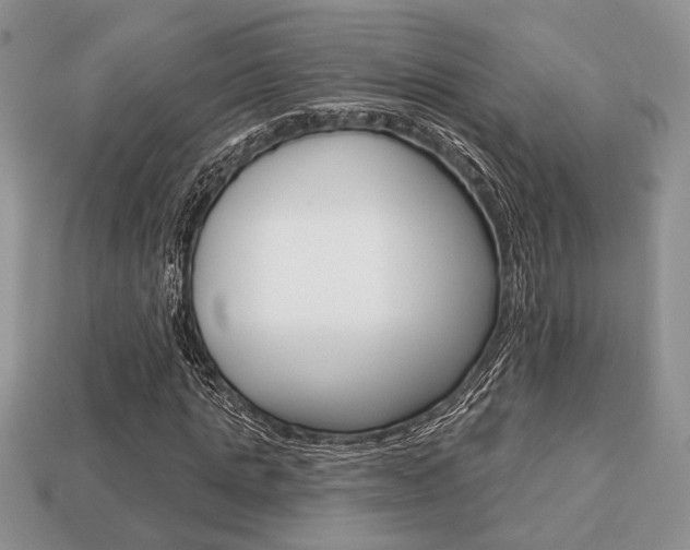 X0000113740821200909230944