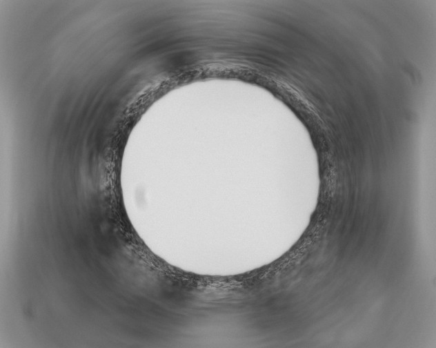 X0000113740824200909230944