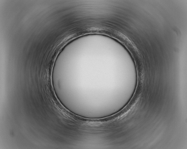 X0000113740825200909230944