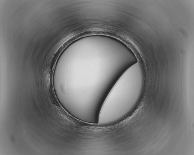 X0000113740829200909230944