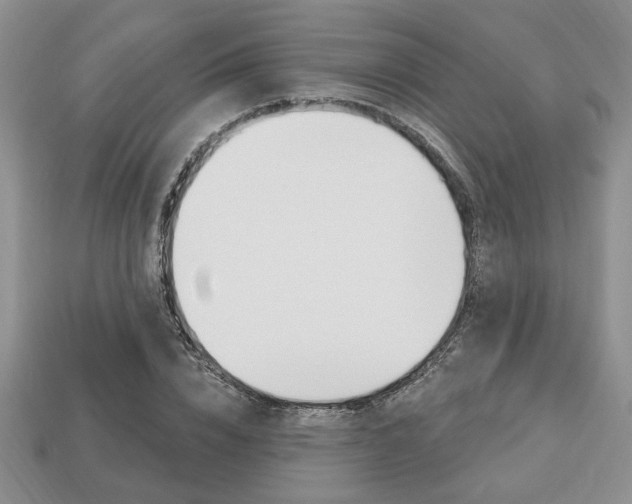 X0000113740832200909230944